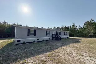 247 S Dixie Rd, Wagener, SC 29164 - Photo 4
