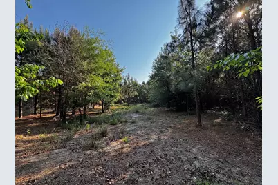 247 S Dixie Road, Wagener, SC 29164 - Photo 6
