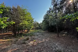 247 S Dixie Rd, Wagener, SC 29164 - Photo 6