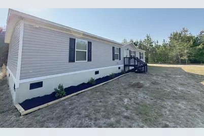 247 S Dixie Road, Wagener, SC 29164 - Photo 2