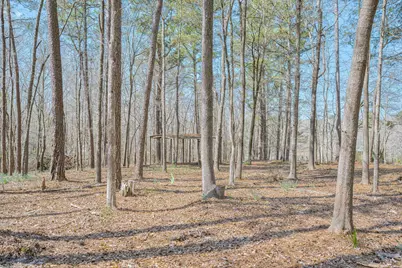 561 Big Branch Lane, North Augusta, SC 29860 - Photo 52