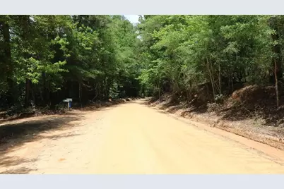 1091 Pine Grove Road, Leesville, SC 29006 - Photo 12