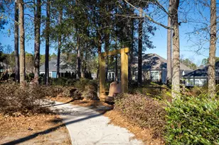 187 Bluet Loop, Aiken, SC 29803 - Photo 50