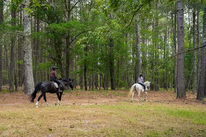 793 Flowing Well Road, Wagener, SC 29164 - Photo 46