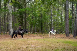 793 Flowing Well Rd, Wagener, SC 29164 - Photo 46