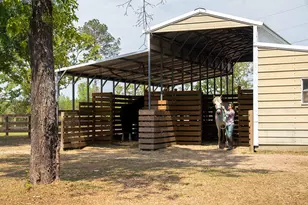 793 Flowing Well Rd, Wagener, SC 29164 - Photo 40