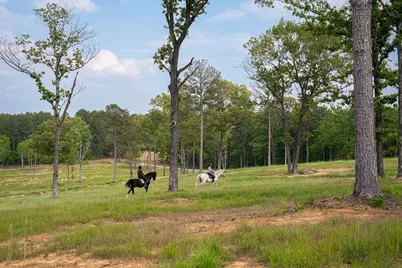 793 Flowing Well Road, Wagener, SC 29164 - Photo 50