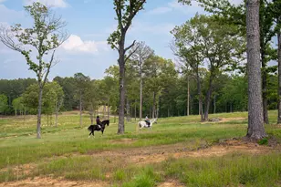 793 Flowing Well Rd, Wagener, SC 29164 - Photo 50