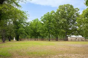 793 Flowing Well Rd, Wagener, SC 29164 - Photo 38