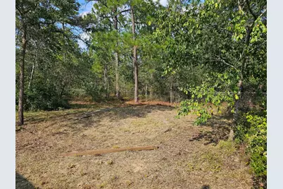 211 Elk Drive, Aiken, SC 29805 - Photo 36