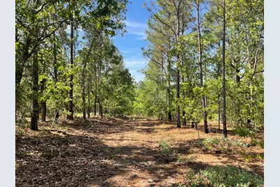 211 Elk Drive, Aiken, SC 29805 - Photo 8