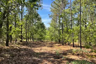 211 Elk Dr, Aiken, SC 29805 - Photo 8