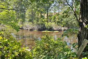 211 Elk Dr, Aiken, SC 29805 - Photo 30