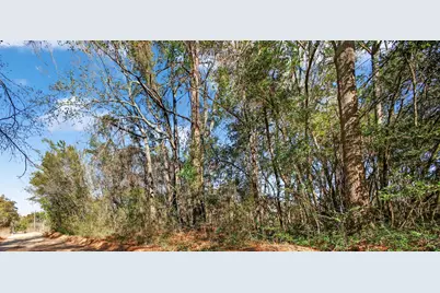 449 Harlem Street, New Ellenton, SC 29809 - Photo 2
