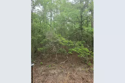 Tbd Leonard Lane, North Augusta, SC 29860 - Photo 2