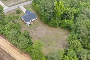 543 Jim Rucker Rd, Swansea, SC 29160 - Photo 44