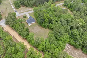 543 Jim Rucker Rd, Swansea, SC 29160 - Photo 40