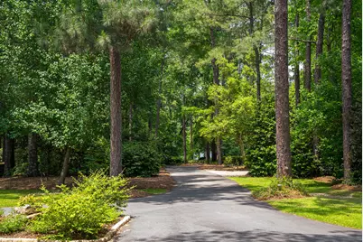 1049 Edisto Lake Road, Wagener, SC 29164 - Photo 68
