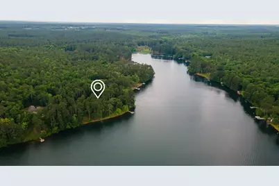 1049 Edisto Lake Road, Wagener, SC 29164 - Photo 94