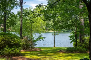 1049 Edisto Lake Rd, Wagener, SC 29164 - Photo 74