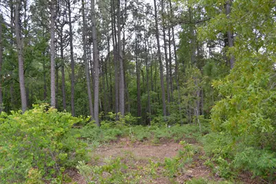 00 Old Barnwell Road, Windsor, SC 29856 - Photo 14