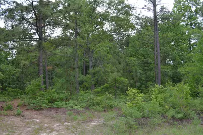00 Old Barnwell Road, Windsor, SC 29856 - Photo 16