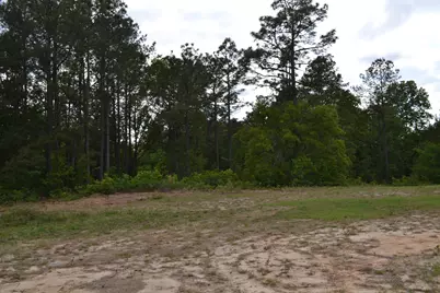 00 Old Barnwell Road, Windsor, SC 29856 - Photo 8