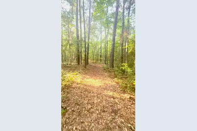 800 Old Whiskey Road S, New Ellenton, SC 29809 - Photo 10