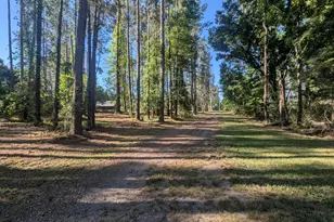 81 Chota Dr, Clarks Hill, SC 29821 - Photo 70