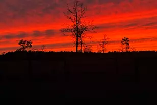 220 Tandem Trl, Windsor, SC 29856 - Photo 66
