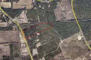 15 Acres S Dixie Rd, Wagener, SC 29164 - Photo 1