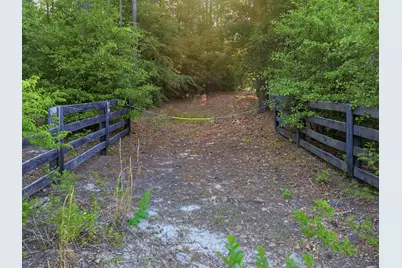 15 Acres S Dixie Road, Wagener, SC 29164 - Photo 2