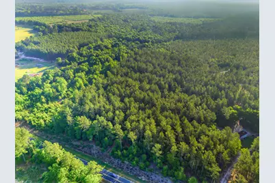 15 Acres S Dixie Road, Wagener, SC 29164 - Photo 4