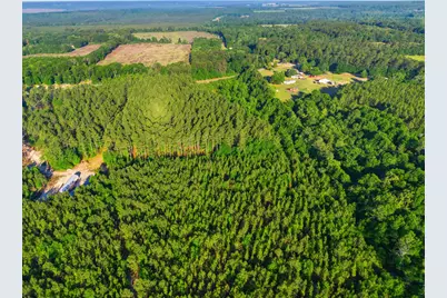 15 Acres S Dixie Road, Wagener, SC 29164 - Photo 6