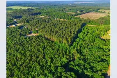 15 Acres S Dixie Road, Wagener, SC 29164 - Photo 8