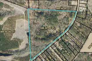 5827 Reynolds Rd, Blackville, SC 29817 - Photo 1