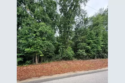 0 Alma Drive #0, North, SC 29112 - Photo 2