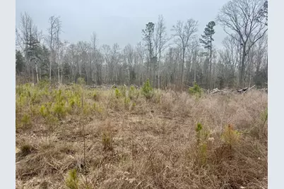 A3 Camp Creek Road #Parcel A3, Lancaster, SC 29720 - Photo 4