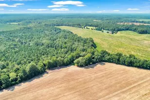 356 Massey-Doss Rd, Keysville, GA 30816 - Photo 10
