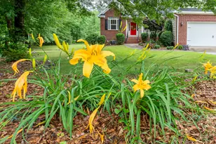 1216 Lake Greenwood Dr, North Augusta, SC 29841 - Photo 30