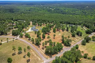 230 Meadows Ridge Ct, Aiken, SC 29803 - Photo 92