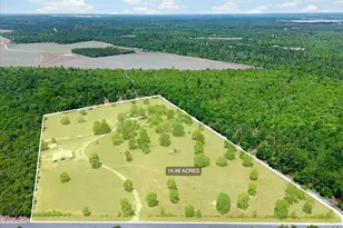 519 Beck Rd, Williston, SC 29853 - Photo 54