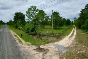 519 Beck Rd, Williston, SC 29853 - Photo 54