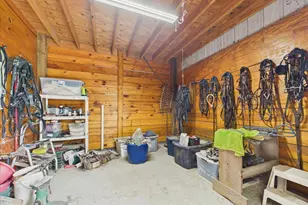 519 Beck Rd, Williston, SC 29853 - Photo 6