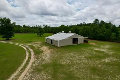 519 Beck Road, Williston, SC 29853 - Photo 42
