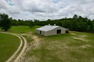519 Beck Rd, Williston, SC 29853 - Photo 42