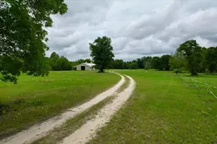 519 Beck Rd, Williston, SC 29853 - Photo 2