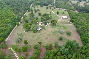 519 Beck Rd, Williston, SC 29853 - Photo 48