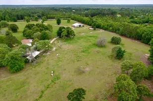 519 Beck Rd, Williston, SC 29853 - Photo 46