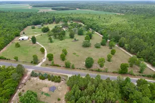 519 Beck Rd, Williston, SC 29853 - Photo 44